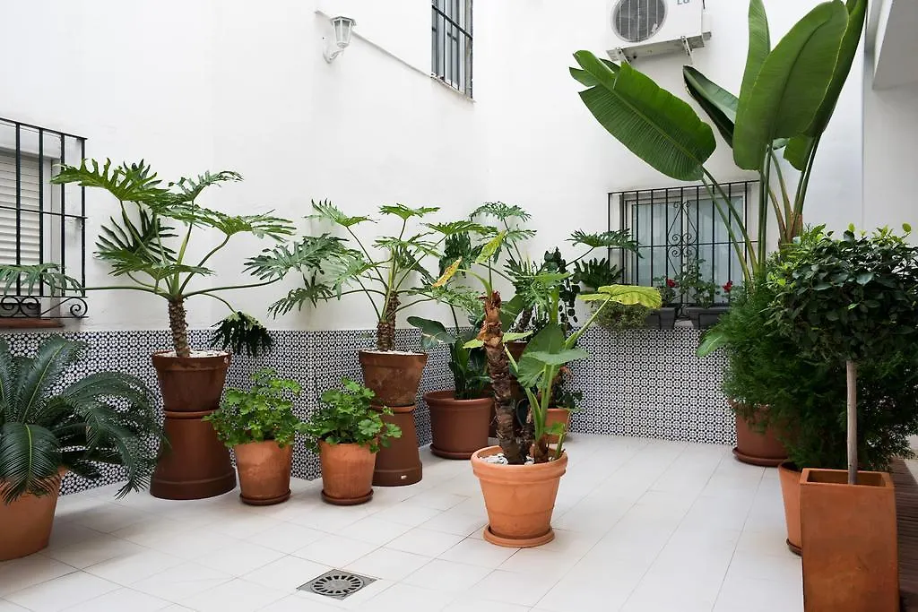 Apartment Urbanchicmalaga 3 Bedroom Spacious Quiet Historic Malaga Apt Spain